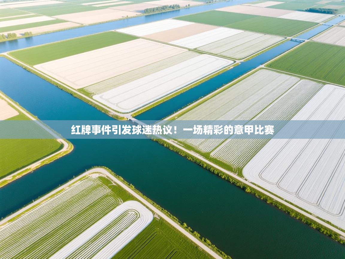 红牌事件引发球迷热议！一场精彩的意甲比赛  第2张