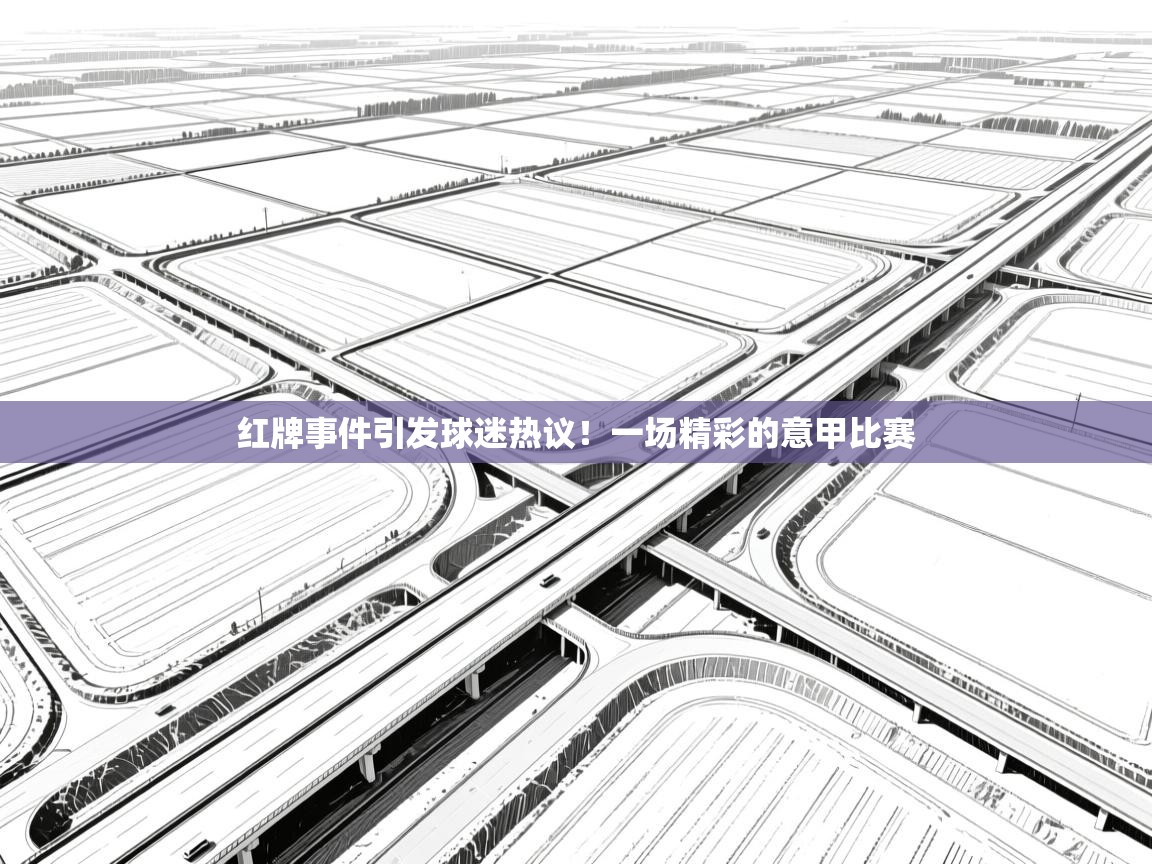 红牌事件引发球迷热议！一场精彩的意甲比赛  第1张